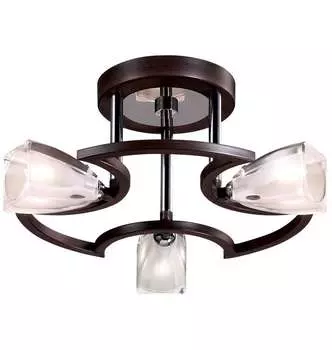 Потолочная люстра Odeon Light SAI 2238/3