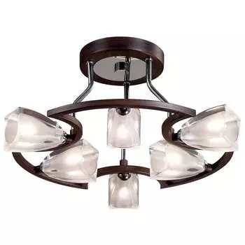 Потолочная люстра Odeon Light SAI 2238/6