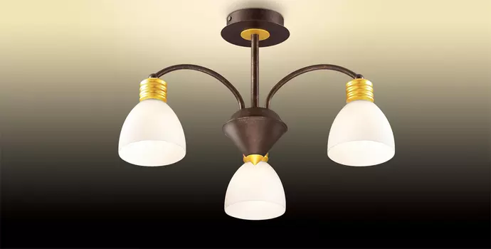 Потолочная люстра Odeon Light Tanais 2624/3C