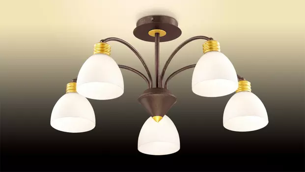 Потолочная люстра Odeon Light Tanais 2624/5C