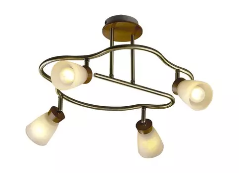 Потолочная люстра Odeon Light TARA 1971/4