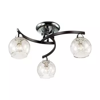 Потолочная люстра Odeon Light VANES 2943/3C