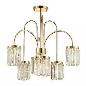 Потолочная люстра Odeon Light Vassa 4987/6C