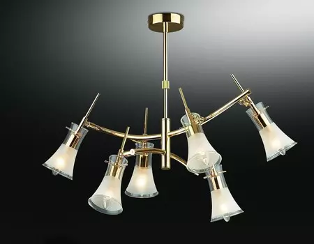 Потолочная люстра Odeon Light ZAMIA 1298/6