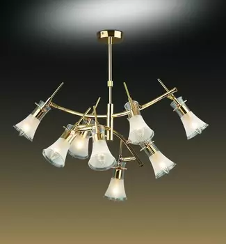Потолочная люстра Odeon Light ZAMIA 1298/8