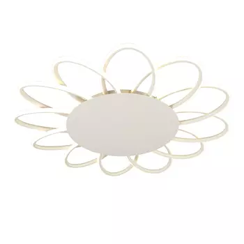 Потолочная люстра Omnilux Caltabellotta OML-19007-120