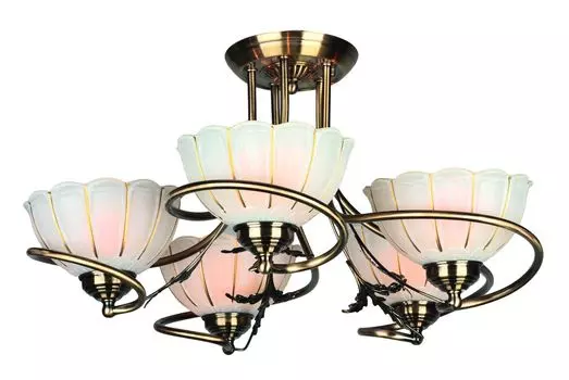 Потолочная люстра Omnilux Rhemois OML-37507-05