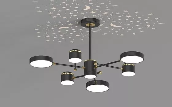 Потолочная люстра Seven Fires Elsi SF5505/6C-BK-GD