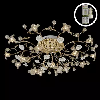 Потолочная люстра Seven Fires Камилла 50301.01.01.16