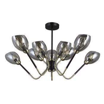 Потолочная люстра Seven Fires Rodengo SF4008/10C-BK-AB