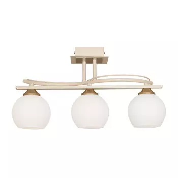 Потолочная люстра Северный свет Альбион 1594