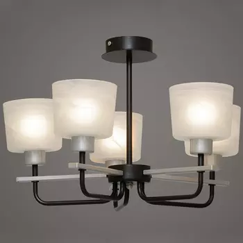 Потолочная люстра Северный свет Артемида 1765