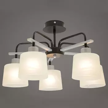 Потолочная люстра Северный свет Артемида 1767