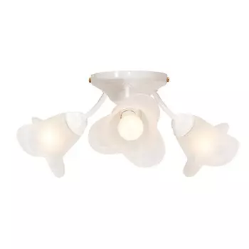 Потолочная люстра Северный свет Астра 1335