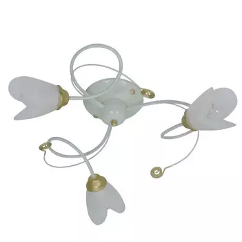 Потолочная люстра Северный свет Азалия 1534
