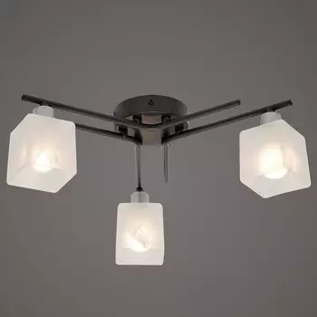 Потолочная люстра Северный свет Дельта 1738