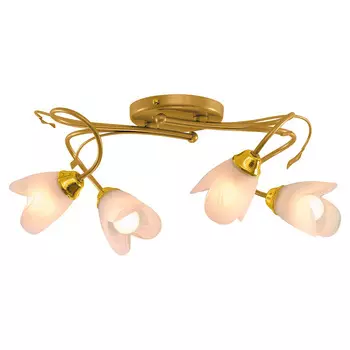 Потолочная люстра Северный свет Флора 1163