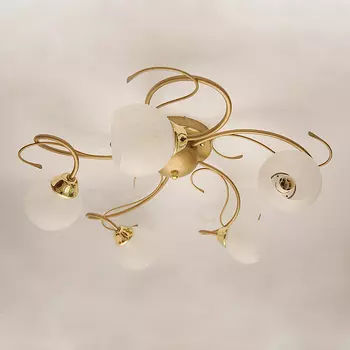 Потолочная люстра Северный свет Гармония 1348