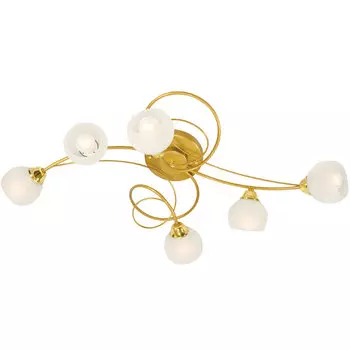 Потолочная люстра Северный свет Гелиос 1384