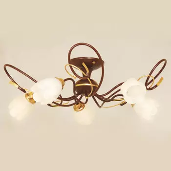 Потолочная люстра Северный свет Гиацинт 1281