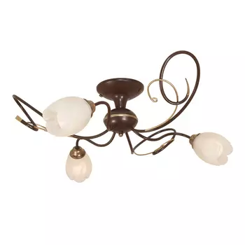 Потолочная люстра Северный свет Гиацинт 1283