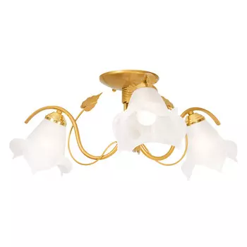 Потолочная люстра Северный свет Гортензия 1316