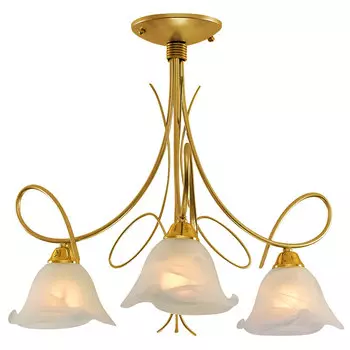 Потолочная люстра Северный свет Экстра 1182