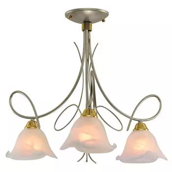 Потолочная люстра Северный свет Экстра 1183