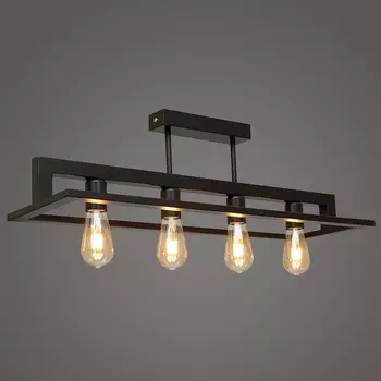 Потолочная люстра Северный свет Контур 1787