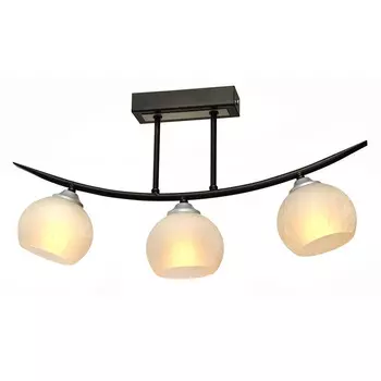 Потолочная люстра Северный свет Кредо 1416