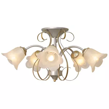 Потолочная люстра Северный свет Оливия 1607