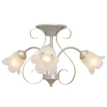 Потолочная люстра Северный свет Оливия 1610