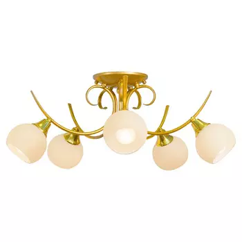 Потолочная люстра Северный свет Орбита 1214