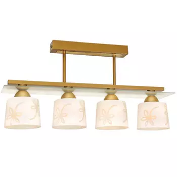 Потолочная люстра Северный свет Рондо 1380