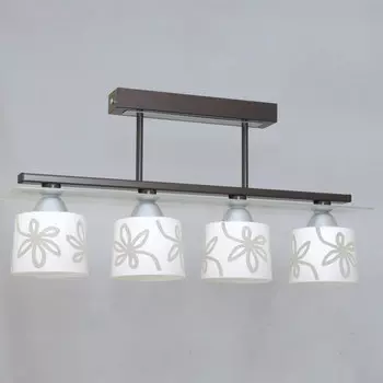 Потолочная люстра Северный свет Рондо 1381