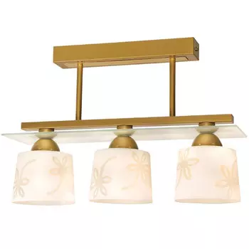 Потолочная люстра Северный свет Рондо 1382