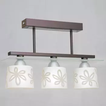 Потолочная люстра Северный свет Рондо 1383