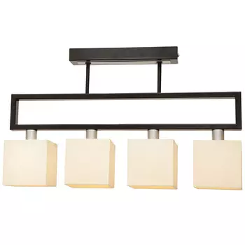 Потолочная люстра Северный свет Шанс 1420