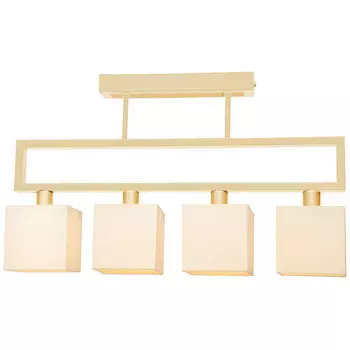 Потолочная люстра Северный свет Шанс 1421