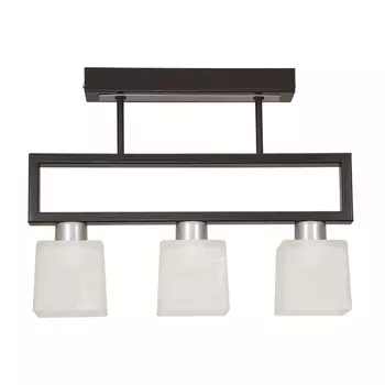 Потолочная люстра Северный свет Шанс 14257