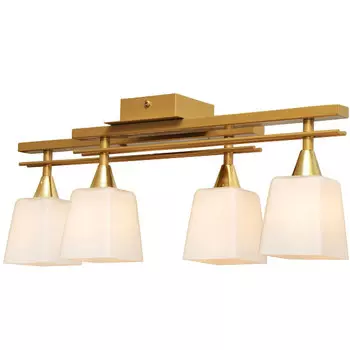 Потолочная люстра Северный свет Вектор 1370