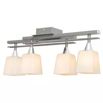 Потолочная люстра Северный свет Вектор 13711