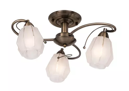 Потолочная люстра SilverLight Brazil 506.53.3