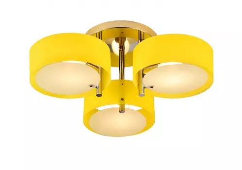 Потолочная люстра Evoluce Foresta SL483.092.03