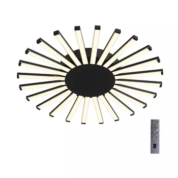 Потолочная люстра ST Luce Paralleli SL839.412.24
