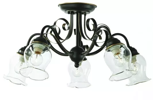 Потолочная люстра ST Luce SL145.302.05