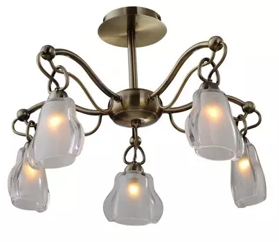 Потолочная люстра ST Luce SL316.302.05