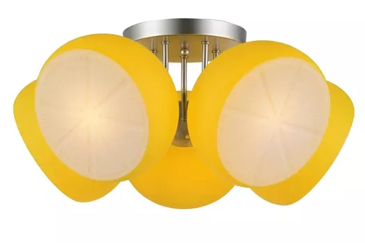 Потолочная люстра ST Luce SL482.902 SL482.902.05