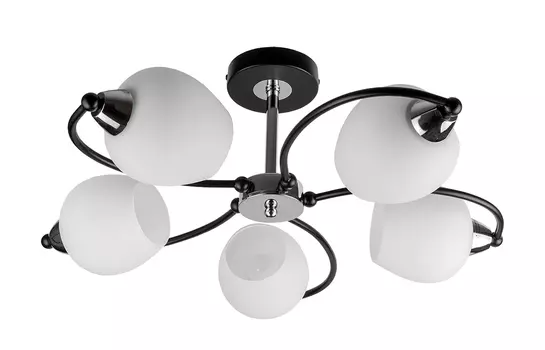 Потолочная люстра Toplight Katerina TL2770X-05WC