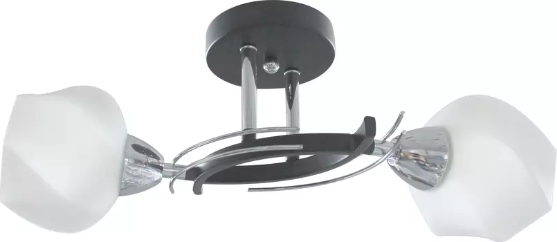 Потолочная люстра Toplight Lia TL7380X-02BC